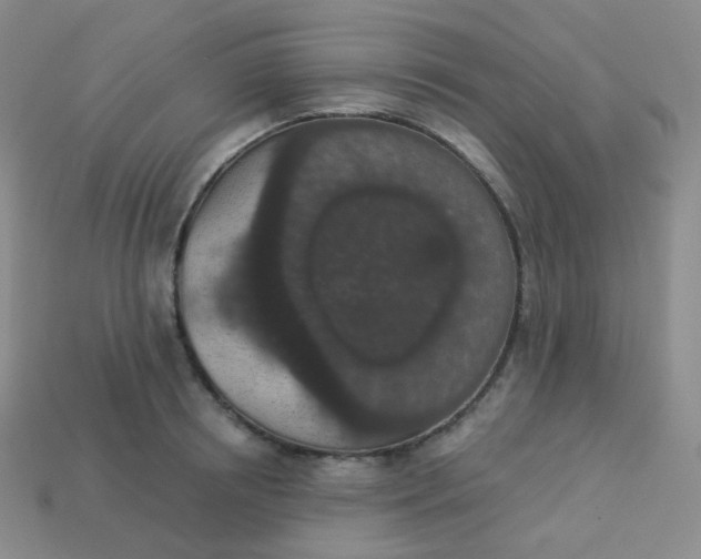 X0000113550850200910091302