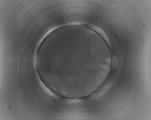 X0000113550851200910091302