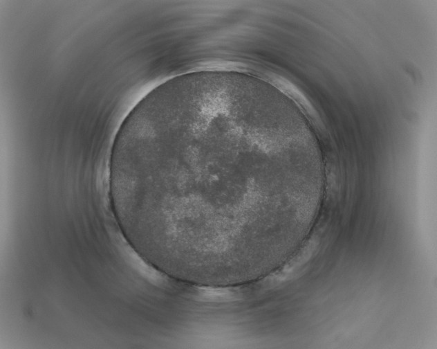 X0000113550852200910091302