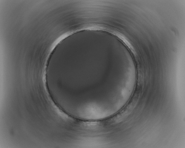 X0000113550853200910091302