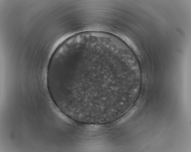 X0000113550854200910091302