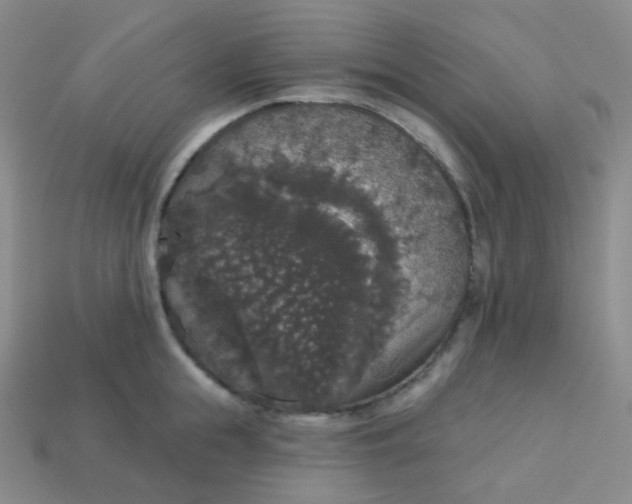 X0000113550855200910091302