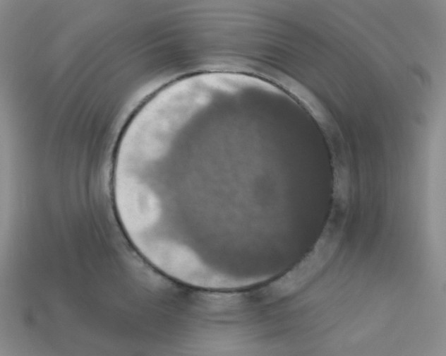 X0000113550856200910091302