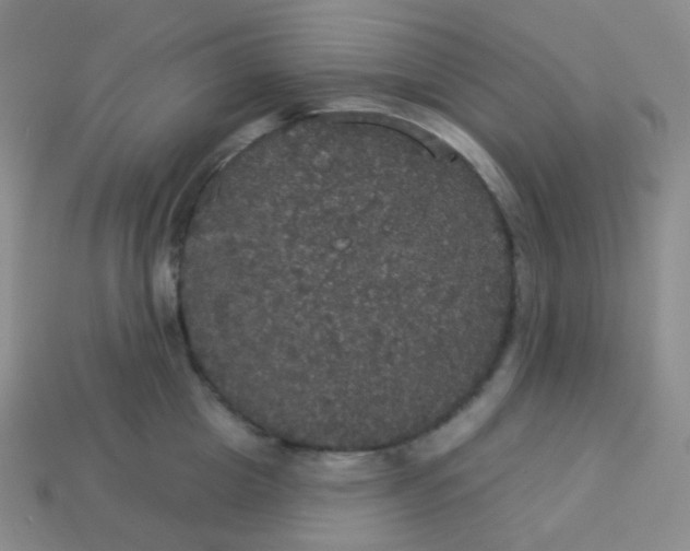 X0000113550857200910091302