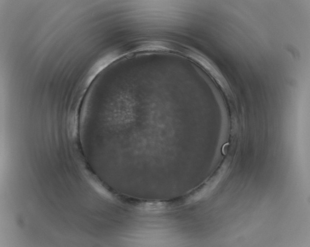 X0000113550858200910091302