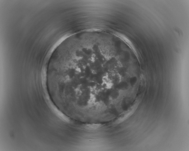 X0000113550859200910091302