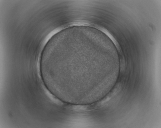 X0000113550861200910091302