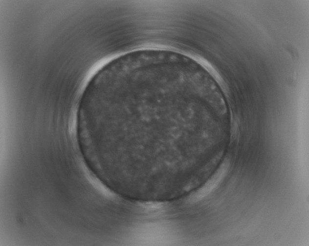 X0000113550862200910091302