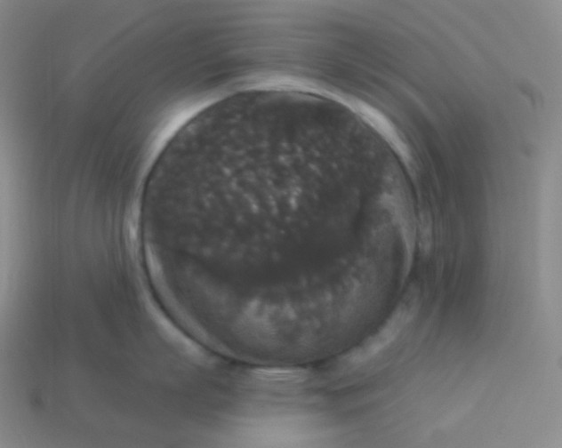 X0000113550863200910091302