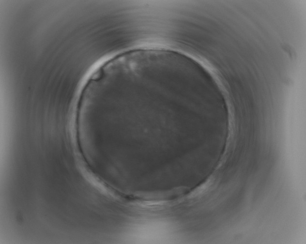 X0000113550864200910091302