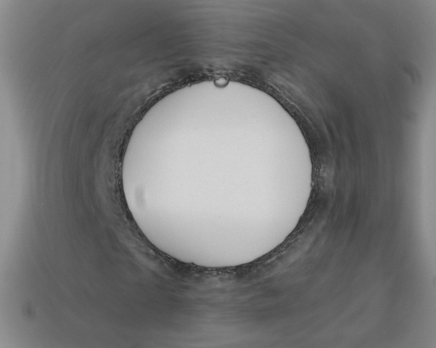 X0000113550865200910091302