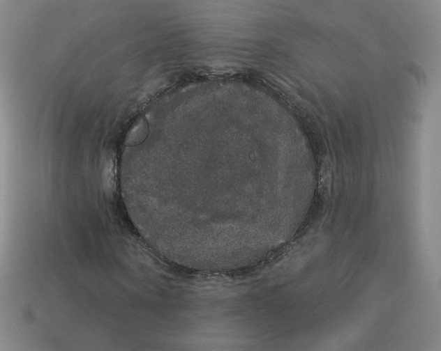 X0000113550866200910091302