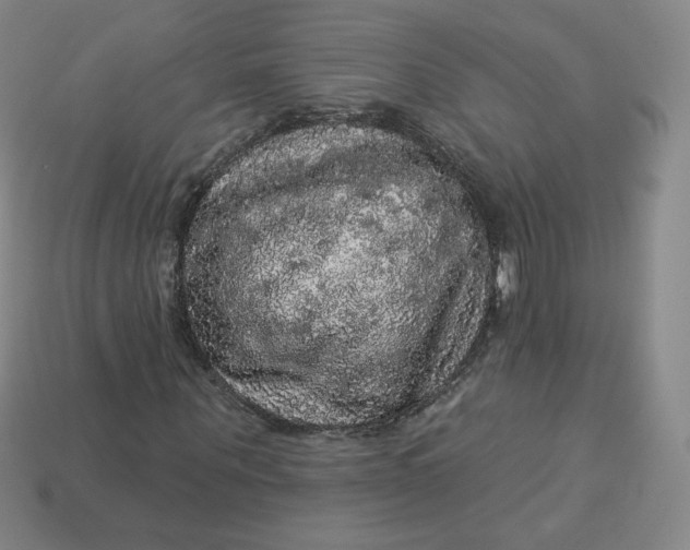 X0000113550867200910091302