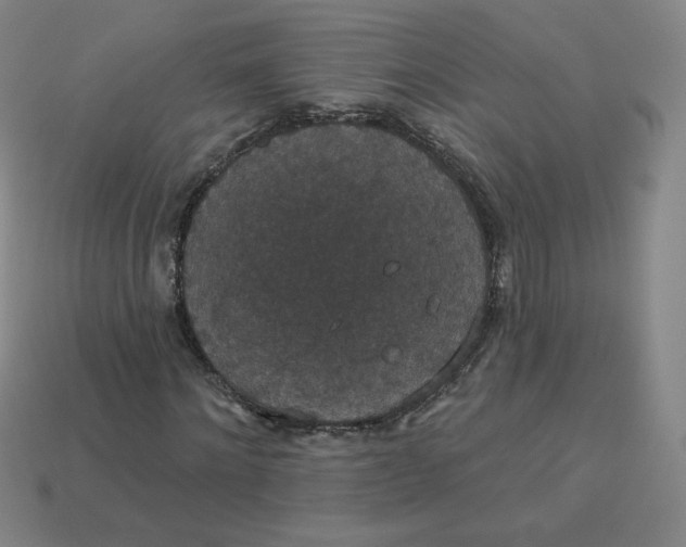 X0000113550868200910091302