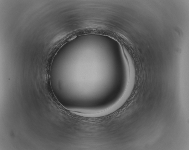 X0000113550869200910091302