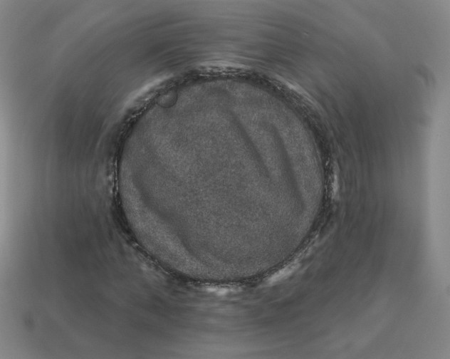 X0000113550870200910091302