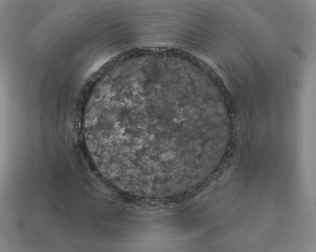 X0000113550871200910091302