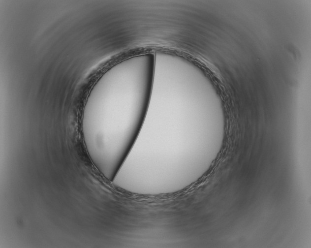 X0000113550872200910091302