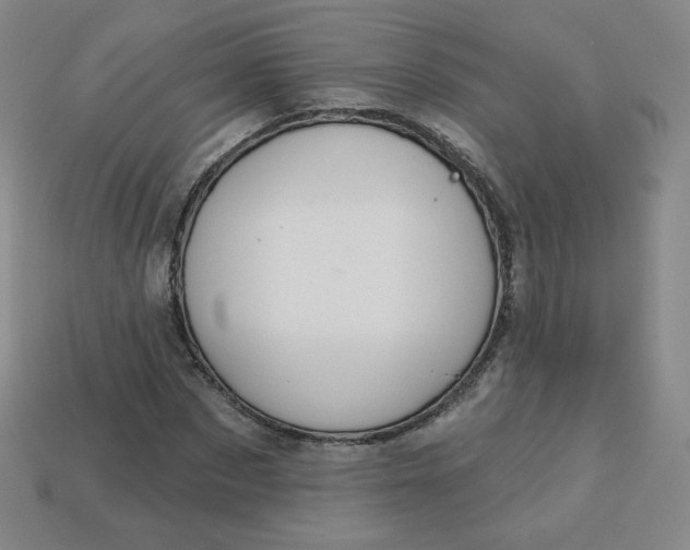 X0000113550873200910091302