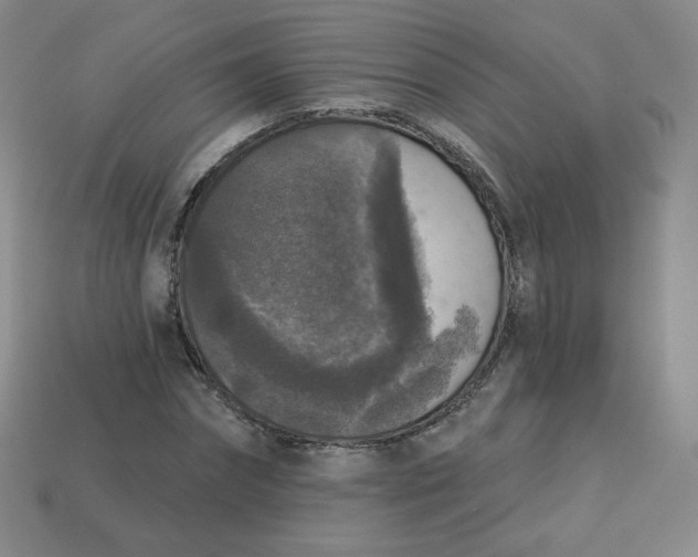 X0000113550874200910091302