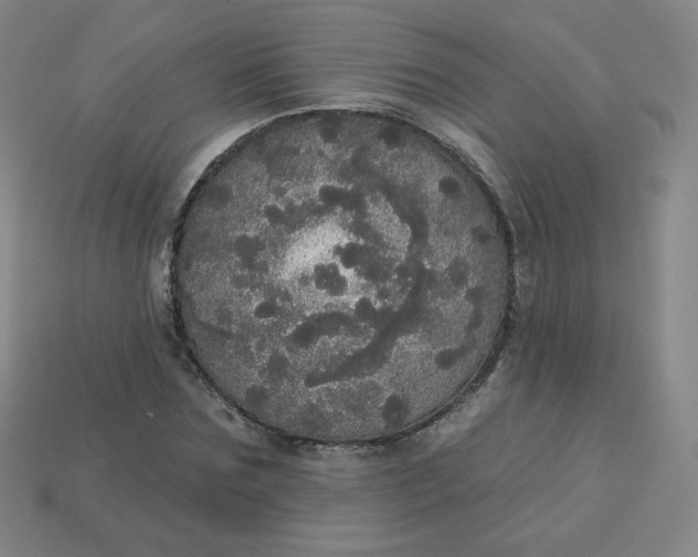 X0000113550875200910091302