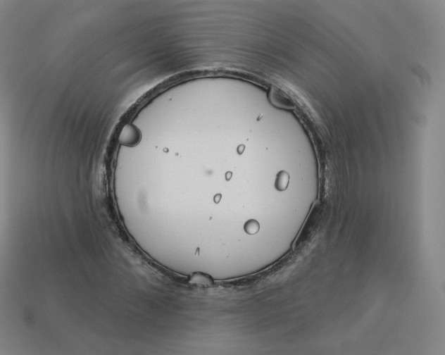 X0000113550876200910091302