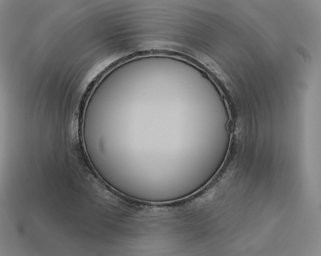 X0000113550877200910091302