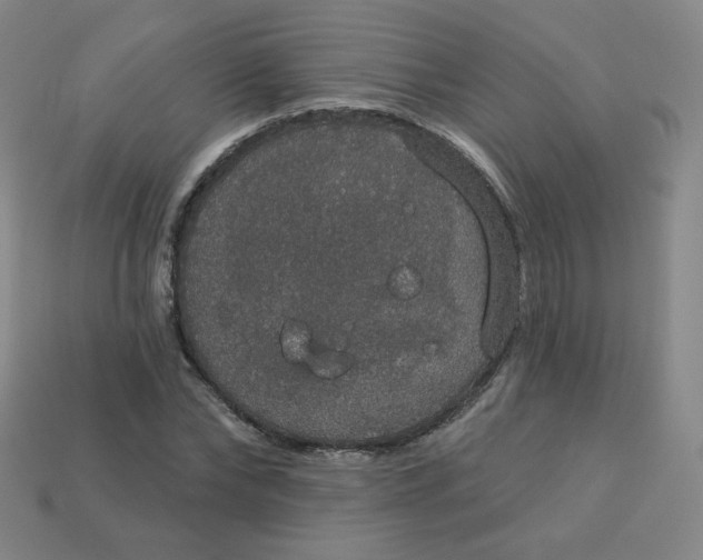 X0000113550878200910091302