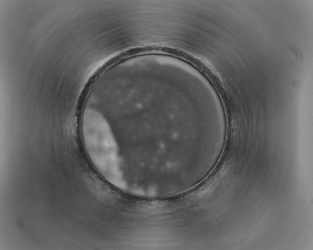 X0000113550879200910091302