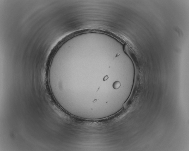 X0000113550880200910091302