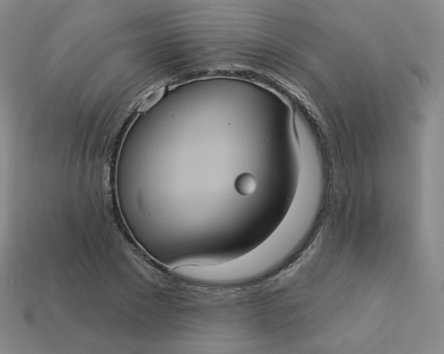 X0000113550881200910091302