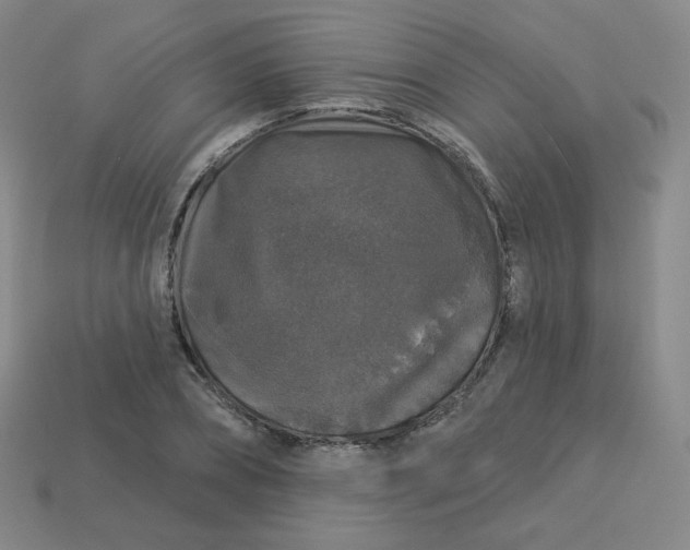 X0000113550882200910091302