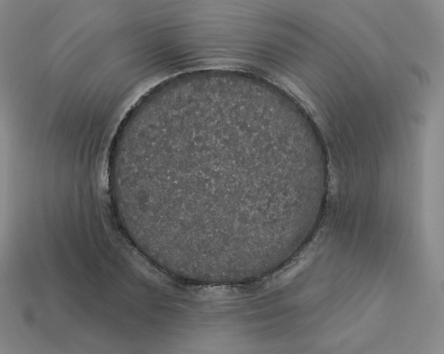 X0000113550883200910091302