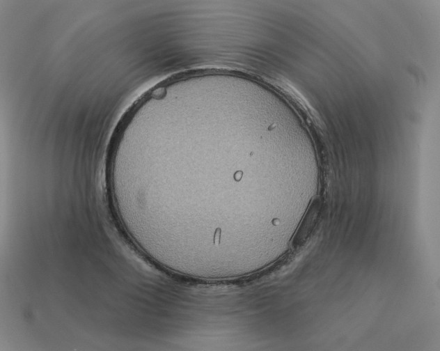 X0000113550884200910091302