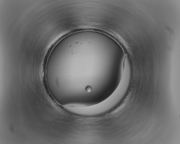 X0000113550885200910091302