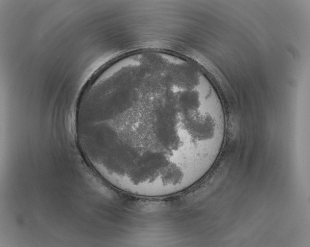 X0000113550886200910091301