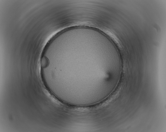 X0000113550888200910091301