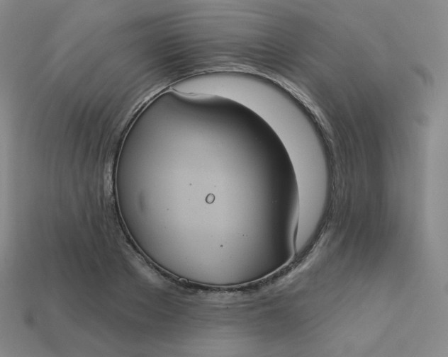 X0000113550889200910091301