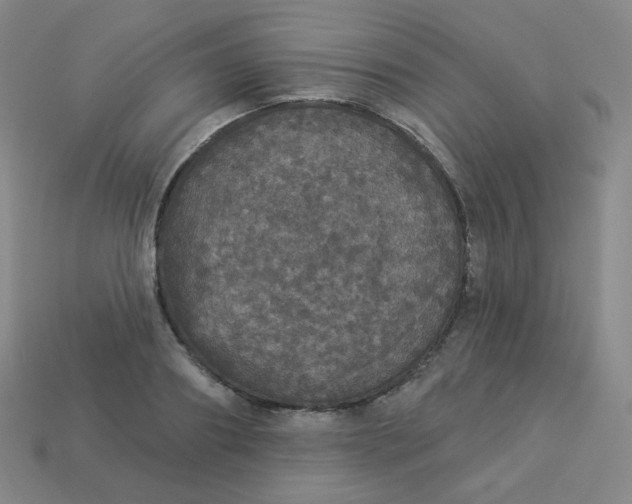 X0000113550890200910091301