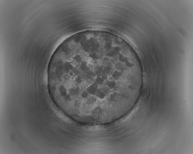 X0000113550891200910091301