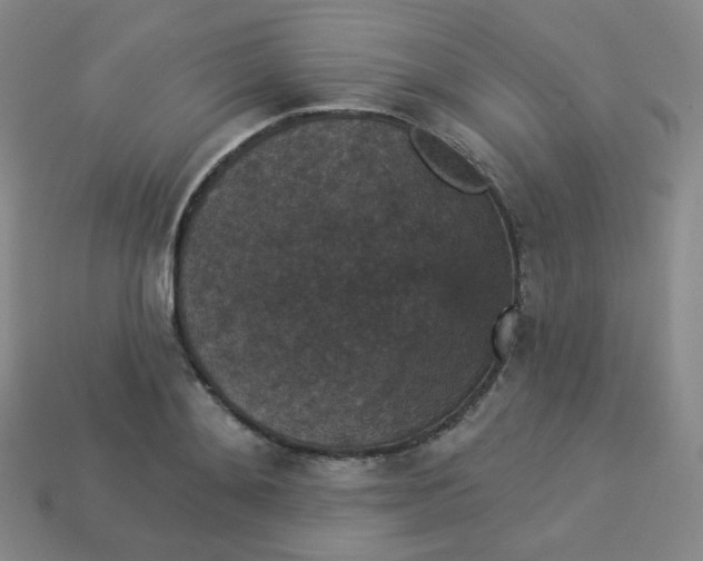 X0000113550892200910091301