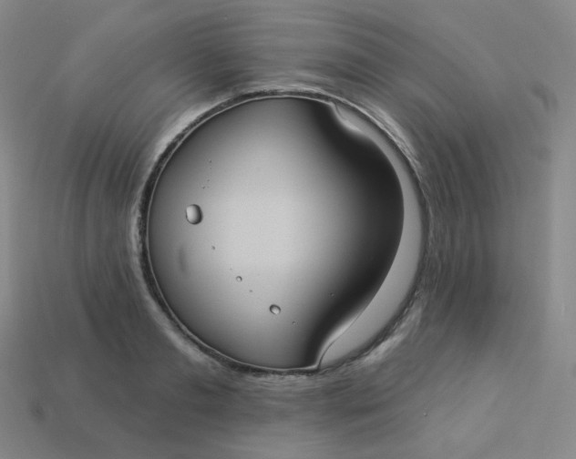 X0000113550893200910091301