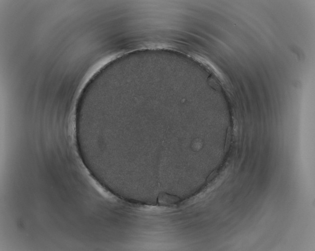 X0000113550894200910091301