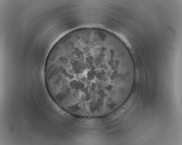 X0000113550895200910091301