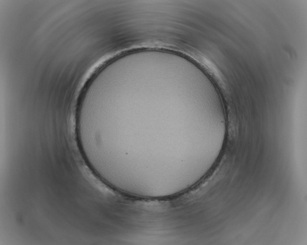 X0000113550896200910091301