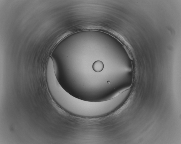 X0000113550897200910091301