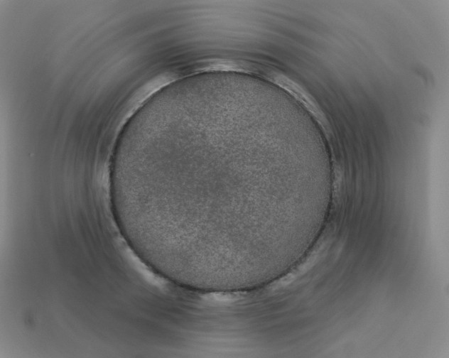 X0000113550898200910091301