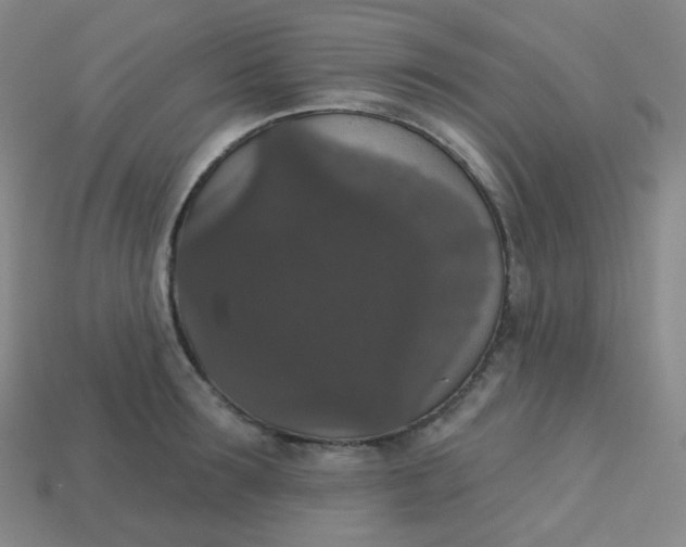 X0000113550899200910091301