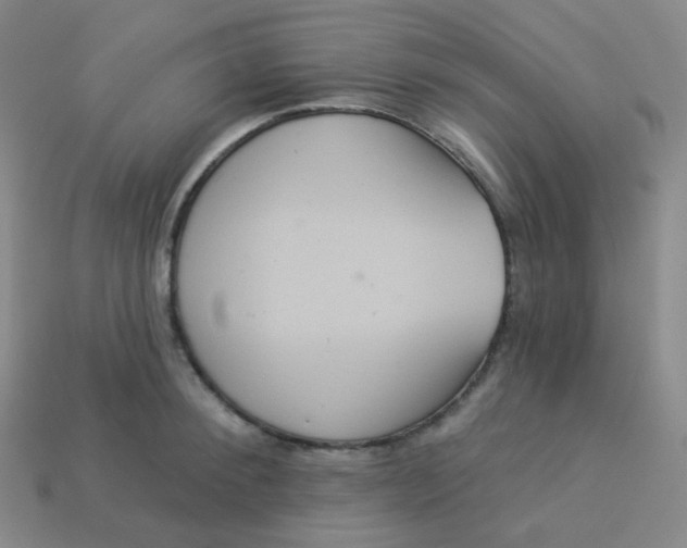 X0000113550900200910091301