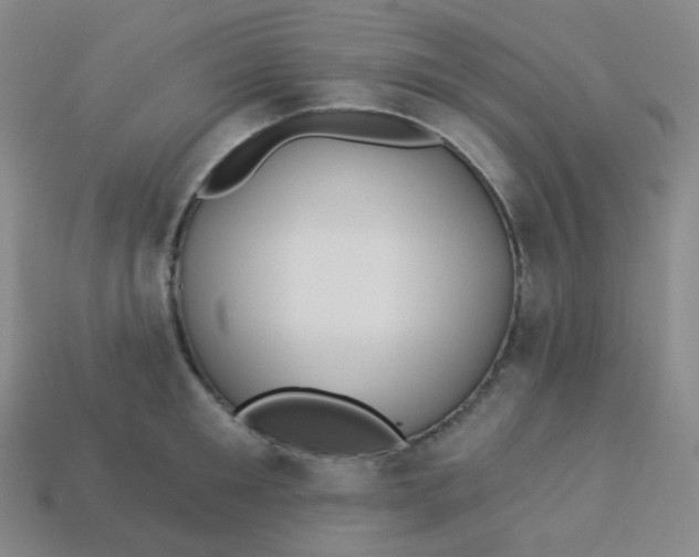 X0000113550901200910091301